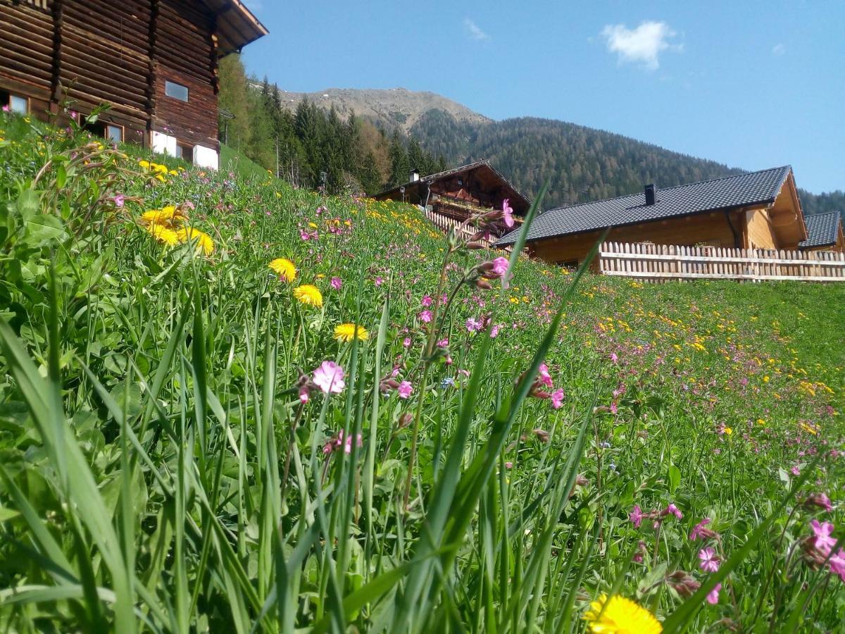 Chalet Niederhaushof Ultimo Exteriér fotografie