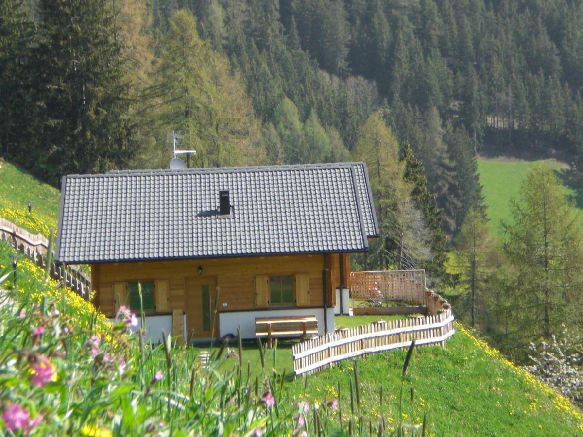 Chalet Niederhaushof Ultimo Exteriér fotografie