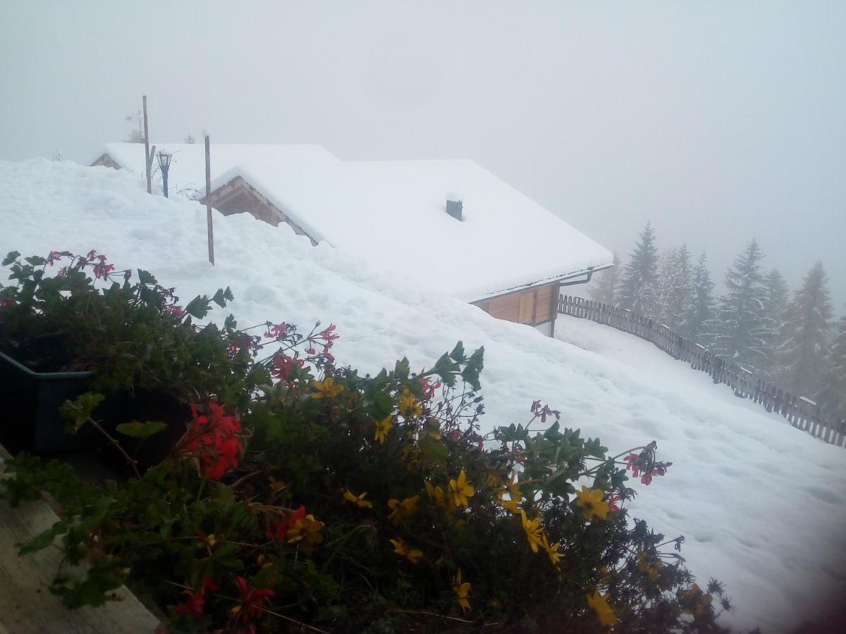 Chalet Niederhaushof Ultimo Exteriér fotografie